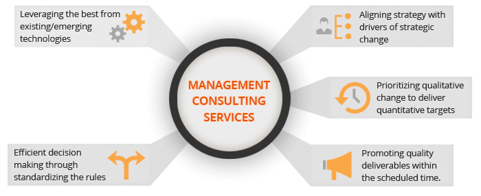Management Consulting Services